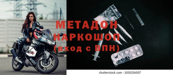 прущие грибы Абдулино